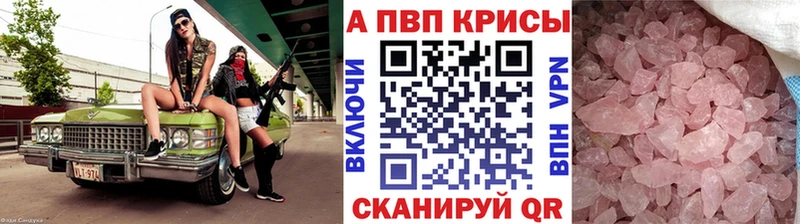 дарнет шоп  Ельня  A PVP СК КРИС 