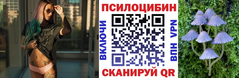 Псилоцибиновые грибы ЛСД  где продают наркотики  Ельня 