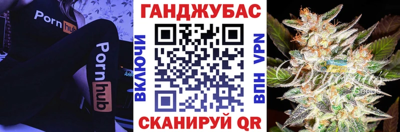 Бошки Шишки планчик  Ельня 